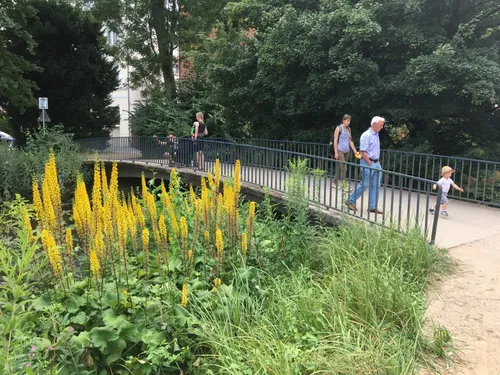 Сад при Бергедорфском замке -Schloßgarten