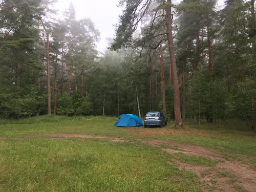 Заглавная фотография к статье Швеция с палаткой