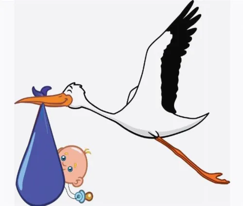 Заглавная фотография к статье Роды в Польше. Часть первая.