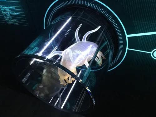 Заглавная фотография к статье Гидрополис - Музей Воды (Hydropolis)