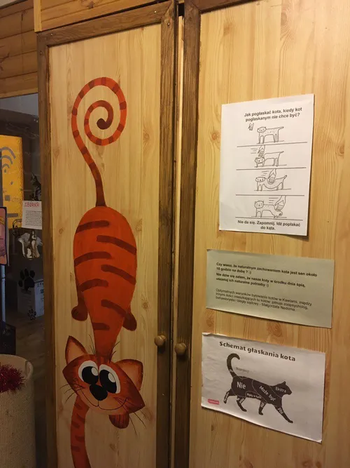 Заглавная фотография к статье Кошачье Кафе (Kociarnia)