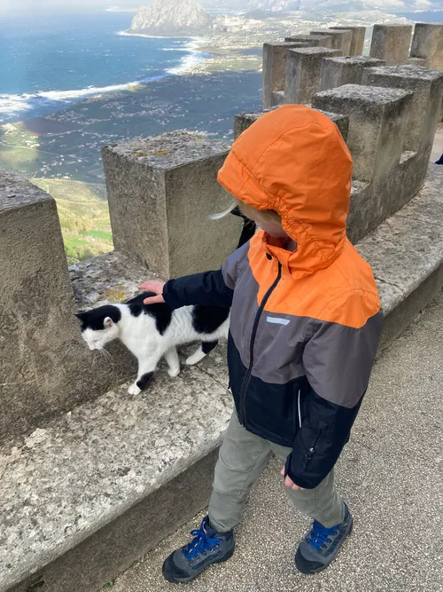 Котик