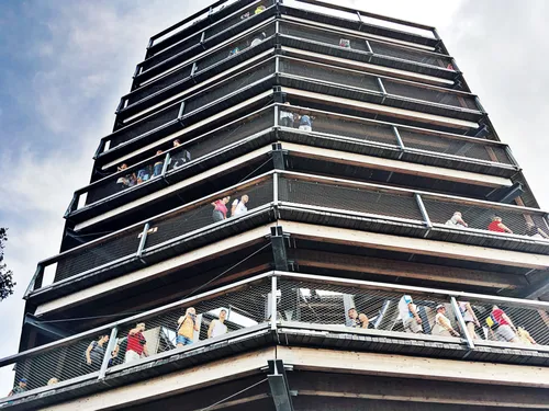 Заглавная фотография к статье Путь в кронах деревьев (Словацкие Татры)