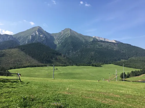 По дороге к пути в кронах деревьев