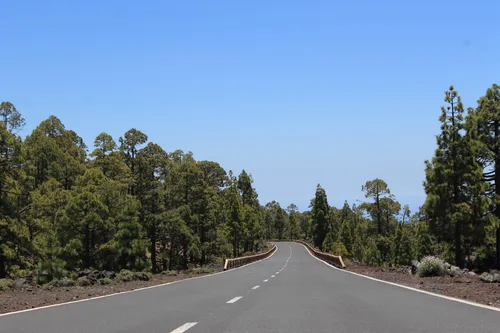 Teide road from the south