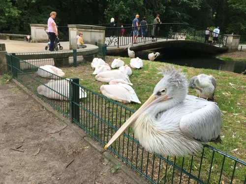 Заглавная фотография к статье Зоопарк Берлин-Фридрихсфельде