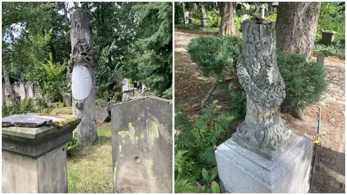 Памятники в виде ствола дерева