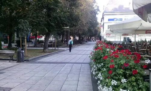 Заглавная фотография к статье Зелена Гура (Zielona Góra)